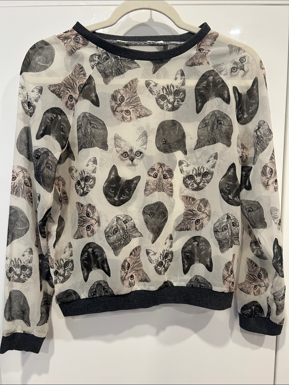 Transparent Cat Shirt Blouse